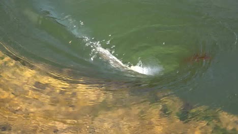 Canada-Reservoir-Whirlpool-Sputtering-With-Circling-Leaves