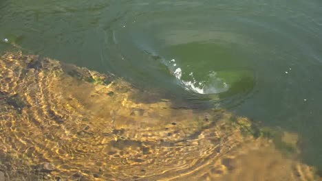 Canada-Reservoir-Whirlpools