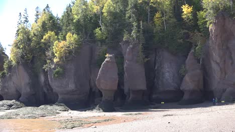 Kanada-Szene-Am-Rande-Der-Klippen-Bei-Hopewell-Rocks