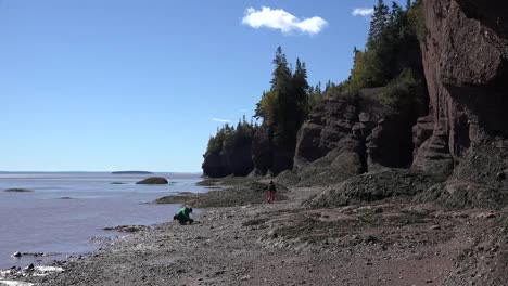 Los-Turistas-De-Canadá-Exploran-En-Hopewell-Rocks