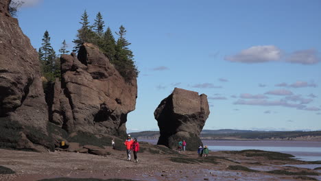 Kanada-Touristen-In-Roten-Mänteln-Bei-Hopewell-Rocks