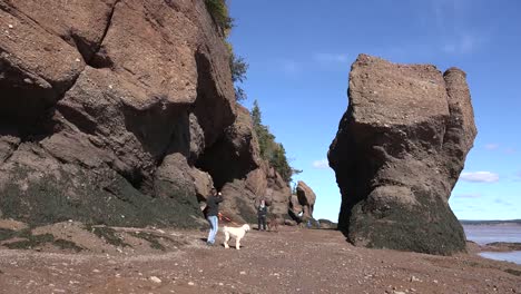 Canada-Tourists-Walk-Dogs-At-Hopewell-Rocks