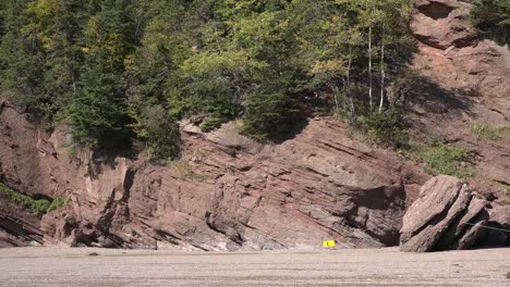 Canada-Trees-Grow-On-Red-Cliffs-At-Hopewell-Rocks