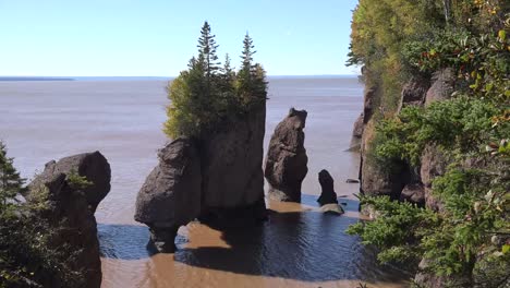 Kanada-Bäume-Auf-Einem-Felsen-Bei-Hopewell-Rocks