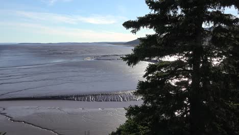 Canada-View-Of-Coastal-Mud-Flats-Along-The-Bay-Of-Fundy