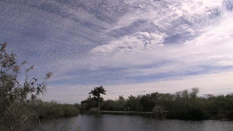 Florida-Everglades-Himmel-Mit-Hohen-Und-Mittleren-Wolken-Und-Vögeln-Fliegen