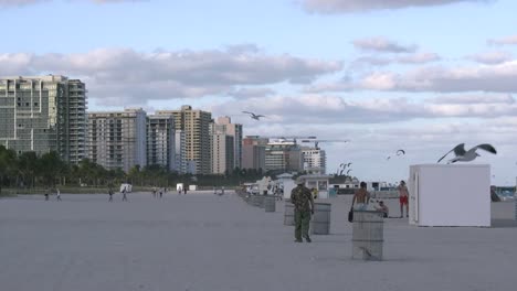 Florida-Miami-Beach-Lots-Of-Gulls-Fly-Over-People-Walking-Down-The-Beach-4k