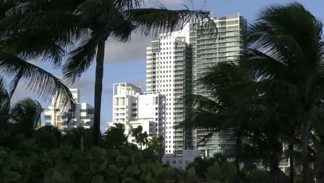 Florida-Miami-Strandhotels-Und-Palmen-Im-Wind-4k