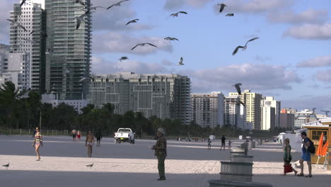 Florida-Miami-Beach-Sea-Gulls-Fly-Over-Tourists-On-Beach-4k