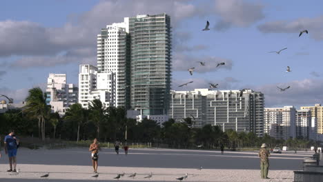 Miami-Beach-Birds-Flying-Over-Beach-With-Hotels-Beyond-4k