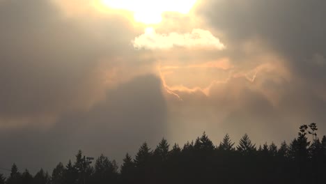 Oregon-Sonnenstrahlen-Und-Bäume-Zeitraffer