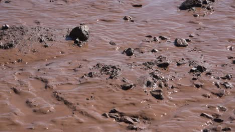 Red-Mud-And-Rocks-On-A-Tidal-Flat