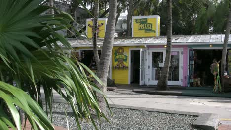 Florida-Key-West-Geschäfte-Und-Palmetto
