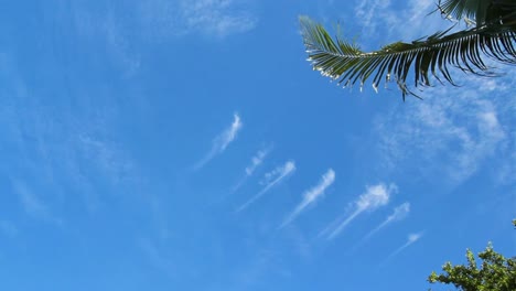 High-Altitude-Clouds-Mare's-Tails-Framed-By-Palm-Frond