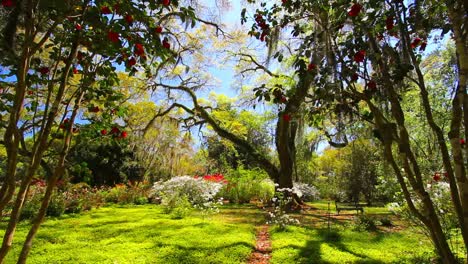 Louisiana-Rosedown-Plantation-Gardens-Oak-Trees-And-Azaleas