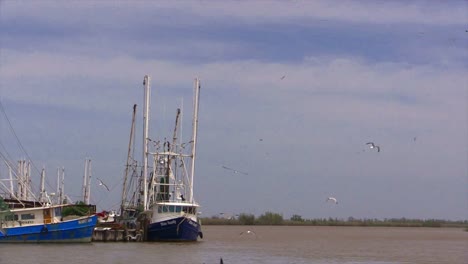 Louisiana-Garnelenboote-Und-Vögel,-Die-In-Den-Himmel-Fliegen