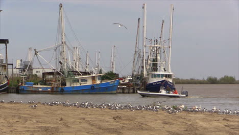 Barcos-Camaroneros-Louisiana-Y-Pájaros-Con-Bote-Pequeño
