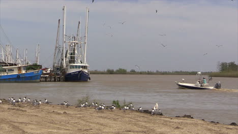 Louisiana-Shrimp-Boats-With-Small-Boat-Turning-And-Birds