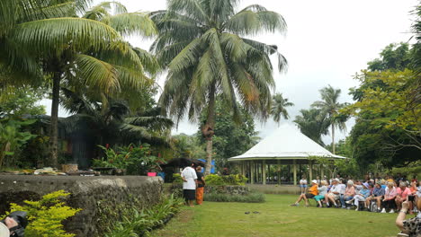 American-Samoa-Climbing-Palm-Tree