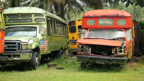 Samoa-Americana-Coloridos-Autobuses-Destrozados