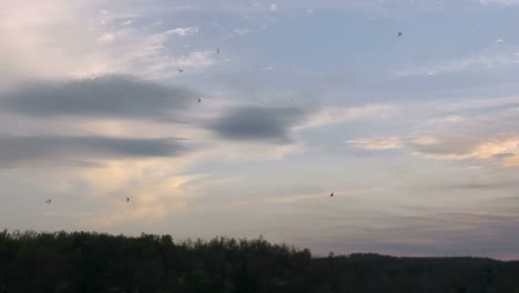 Arkansas-Abendwolken-Und-Fliegende-Insekten