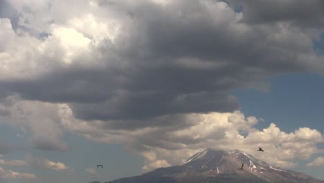 California-Mt-Shasta-Under-Clouds-W-Birds