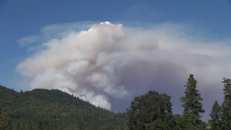 California-Billowing-Cloud-Of-Smoke-Over-Trees