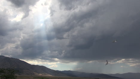 Kalifornische-Vögel-Fliegen-An-Stürmischen-Wolken-Vorbei