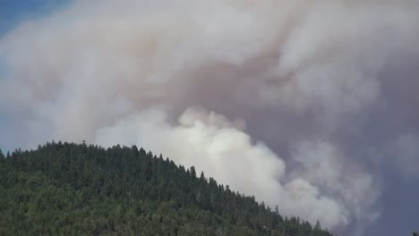 California-Smoke-Billows-Over-Trees-Time-Lapse
