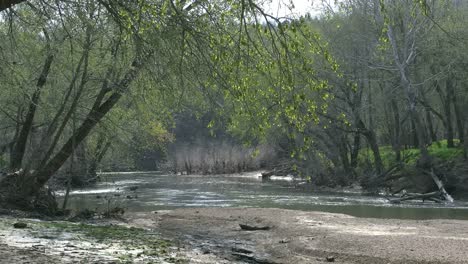Missouri-Stream-And-Willows