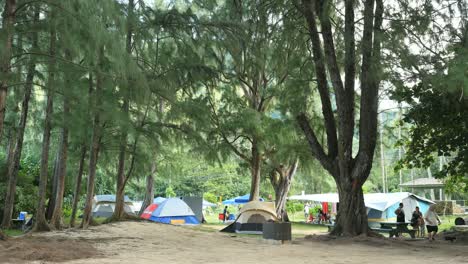 Camping-In-Der-Bucht-Von-Oahu-Kahana