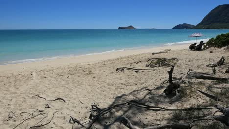 Playa-De-Oahu-Waimanalo-Con-Raíces-Y-Cacerola-De-Arena