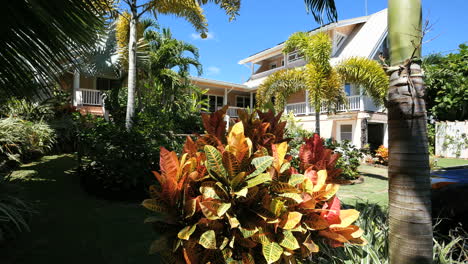 Oahu-Waimanalo-House-Beyond-Tropical-Garden-Editorial