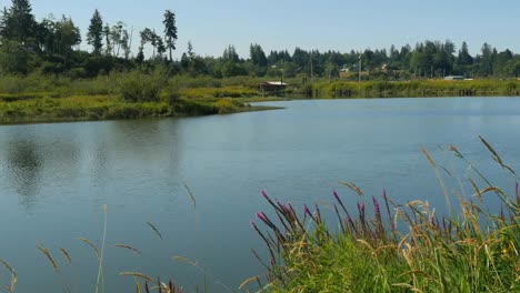 Oregon-Columbia-Fluss-Backwater-View