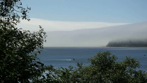 Oregon-Tillamook-Bay-Mist-Framed-In-Vegetation
