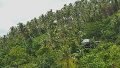 Samoa-House-On-Hill-With-Palm-Trees