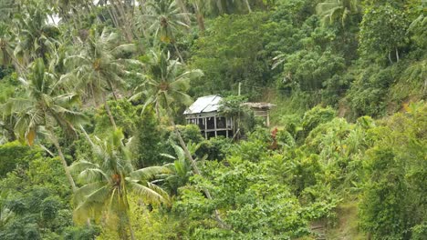 Samoa-Haus-Auf-Hügel-Mit-Palmen