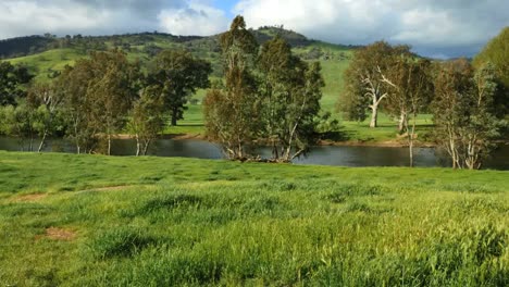 Australien-Murray-River-In-Grüner-Landschaft