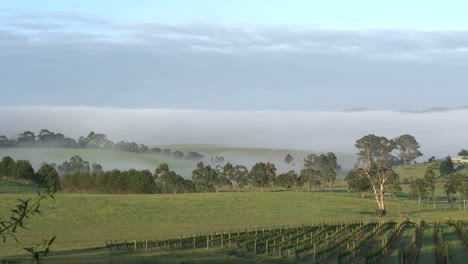 Australia-Outlook-Hill-With-Pretty-Valley-Mist