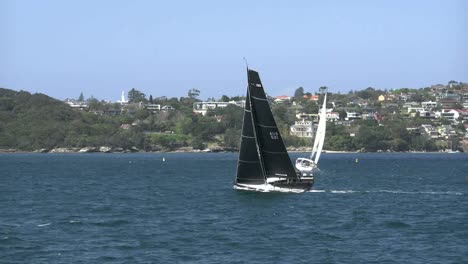 Australia-Sydney-Black-Sails-En-Velero