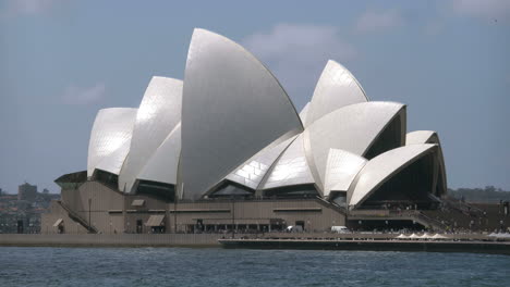 Australia-Sydney-Gulls-Fly-Past-White-Opera-House