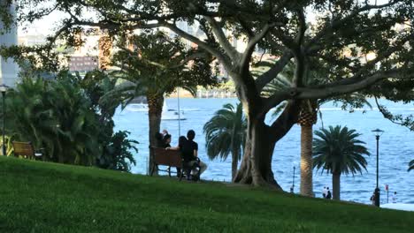Australia-Sydney-Park-Bench-And-Harbor