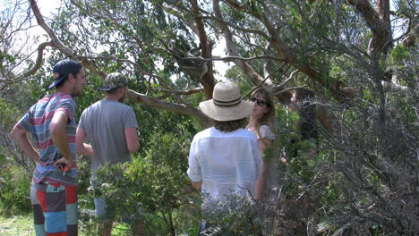 Australia-Tourist-Takes-Picture-Of-Koala-In-Tree