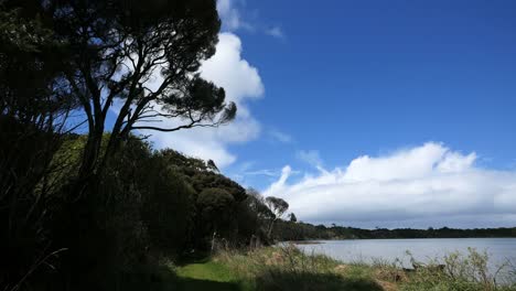 New-Zealand-Catlins-Tahakopa-Bay-With-Cloud