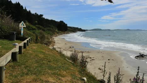 New-Zealand-Katiki-Beach-With-Gulls