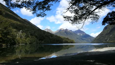 New-Zealand-Lake-Gunn-Framed-With-Branch-Fiordland