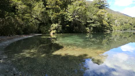 New-Zealand-Lake-Gunn-Shallow-Margins