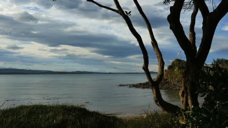 New-Zealand-Moeraki-Coastal-View