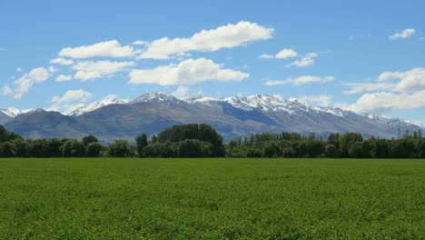 New-Zealand-Mountains-With-Green-Field