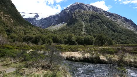 New-Zealand-Río-Flowing-Fiordland-National-Park